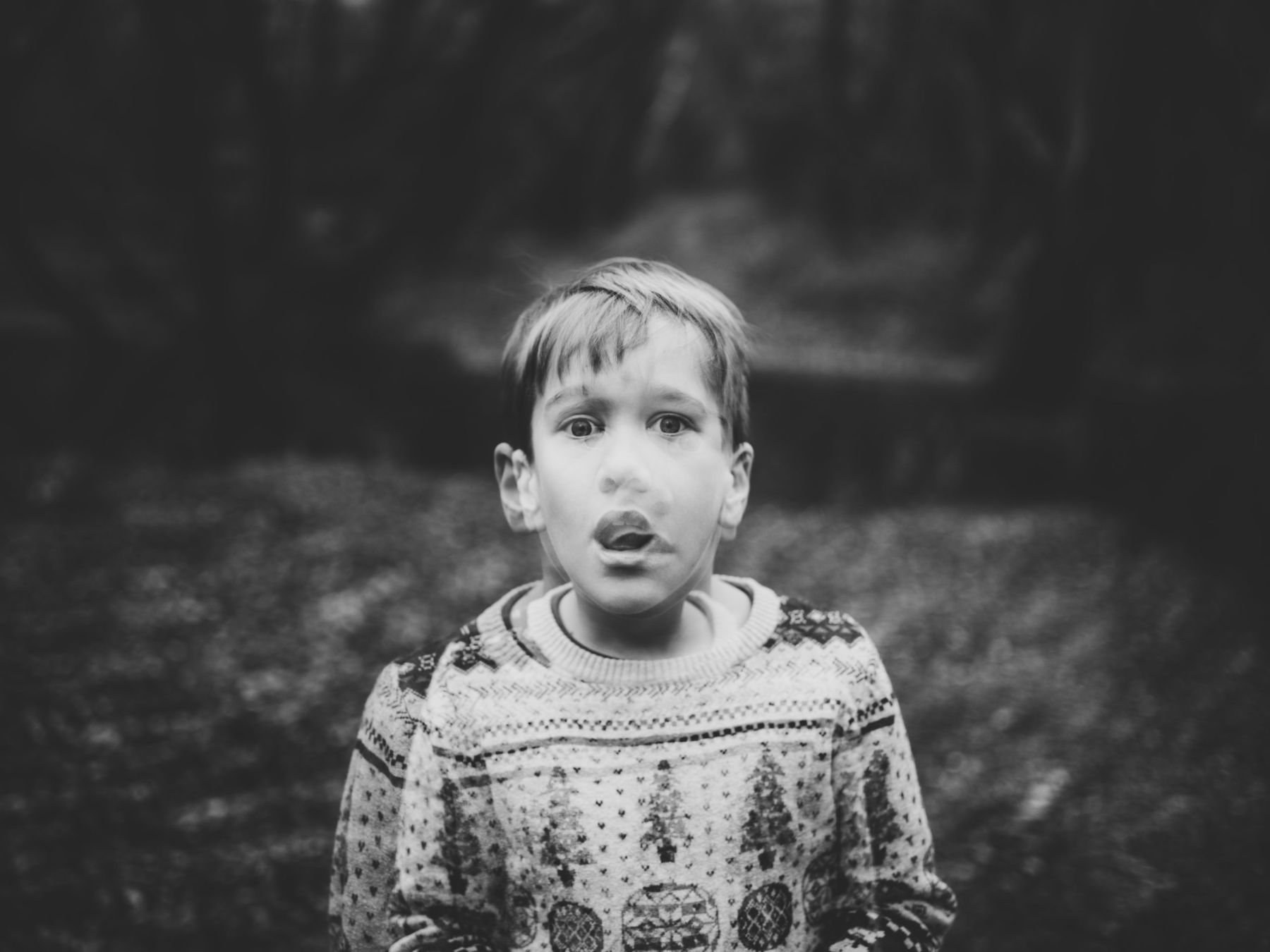 annie-spratt-M_fg3wnKP7M-unsplash